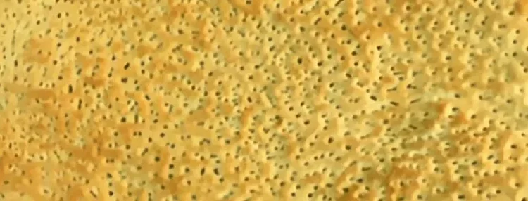 طريقة عمل تميس البسكوت البخاري