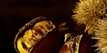 طرق مختلفة لتحضير حبات الكستناء الشهية