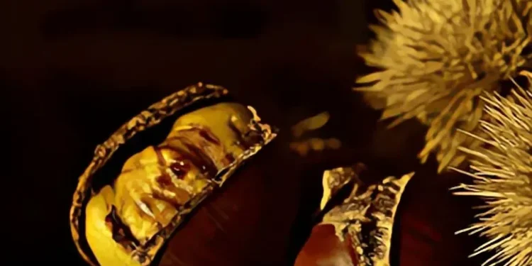 طرق مختلفة لتحضير حبات الكستناء الشهية