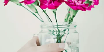 فوائد ماء الورد