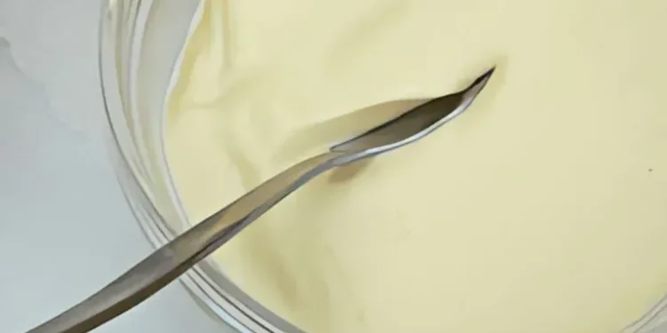 طريقة عمل المايونيز بدون بيض
