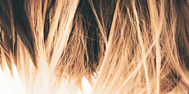 طرق ونصائح لحماية الشعر من التقصف