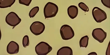 طريقة عمل حلى جلد النمر