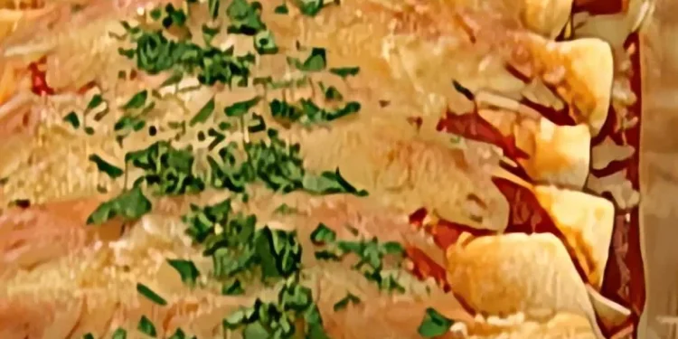 أنشيلادا الدجاج