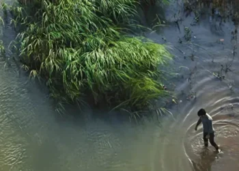 ما هي متلازمة الكوخ؟