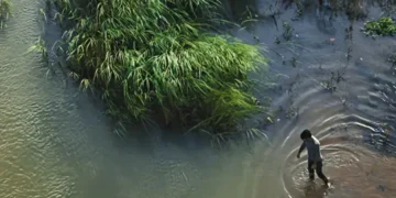 ما هي متلازمة الكوخ؟