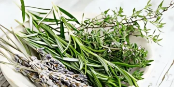 فوائد إكليل الجبل